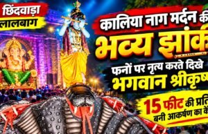 छिंदवाड़ा के लालबाग में सजी कालिया नाग मर्दन की भव्य झांकी: फनों पर नृत्य करते दिखे भगवान श्रीकृष्ण, 15 फीट की प्रतिमा बनी आकर्षण का केंद्र…